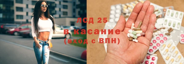 ГАЛЛЮЦИНОГЕННЫЕ ГРИБЫ Нея