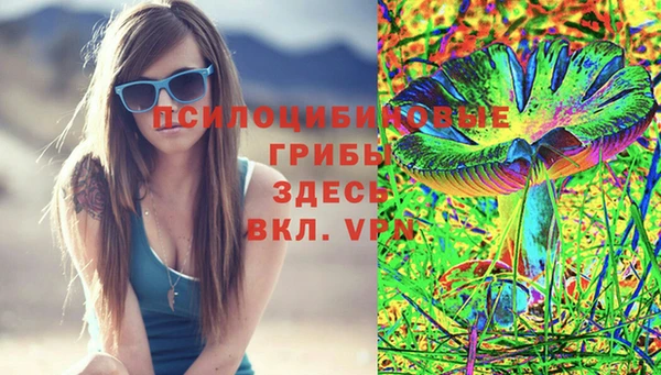 мдпв Арсеньев